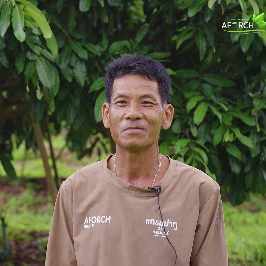 คุณสมชาย เกษตรกรสวนลำไย