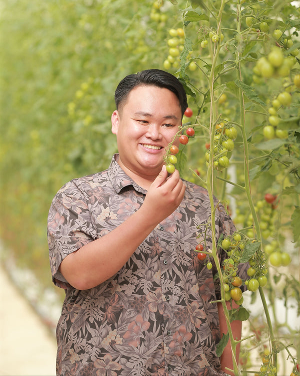 บำรุงผลผลิต