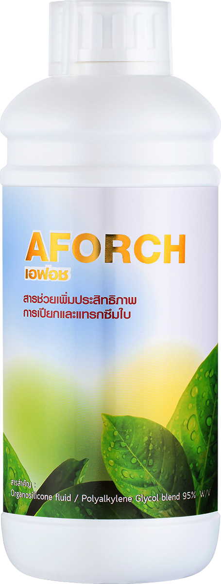 เอฟอช